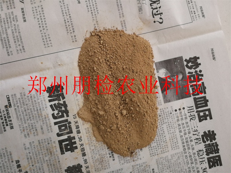 �ɼ�����